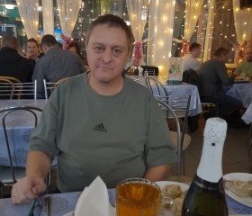 Александр, 52 года, Бийск