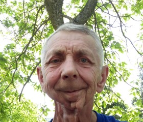 Александр, 63 года, Геленджик