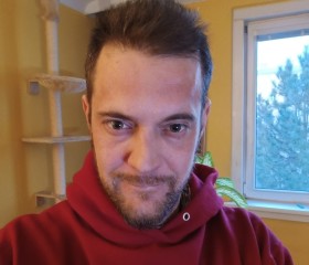 Allesohnesofort, 42, Vienna