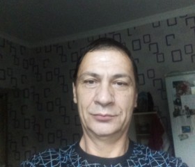 Игорь Скибин, 55 лет, Ленинградская