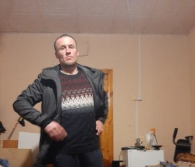 Евгений, 44 года, Тула