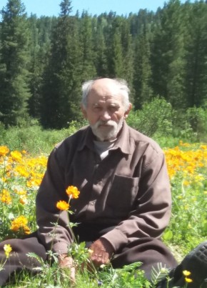 Александр, 73, Россия, Абакан