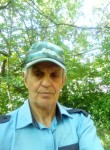 Владимир, 62 года, Лиски