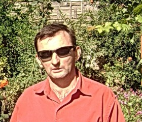 дмитрий, 44 года, Toshkent