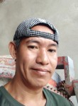 Carlos Banzuela, 47 лет, Cainta