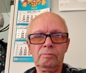 Vladimir, 71, Aleksandrov