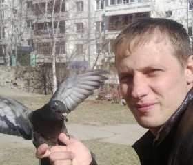 Эдуард, 36 лет, Иркутск