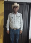 Jose, 57, Hermosillo (Sonora)
