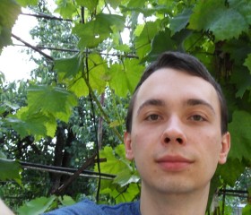 Валентин, 28 лет, Київ