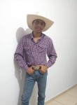 Gustavo, 26 лет, Rio Preto