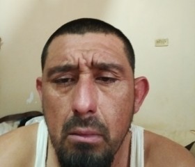 Luis Armando, 37 лет, Ahoma