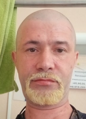 Nikolay, 43, Russia, Saint Petersburg