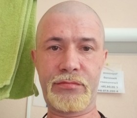 Nikolay, 43, Moscow