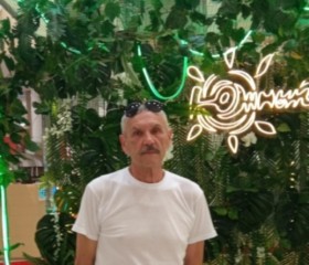 Владимир, 68 лет, Казань