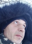 Александр Портно, 56 лет, Иваново