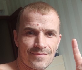 Александр Бычков, 43 года, Лыткарино