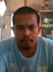 Raul, 48 лет, Lungsod ng Bacolod