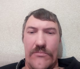 Сергей, 43 года, Ярославль