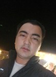 Бек - Курск