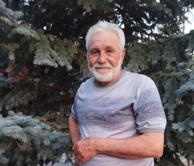 Александр, 69 лет, Тольятти