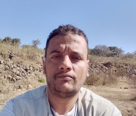 قلب المحيط, 25, Ibb