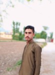 Sheraz khan, 19 лет, مردان