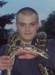 Александр, 38 лет, Полтава