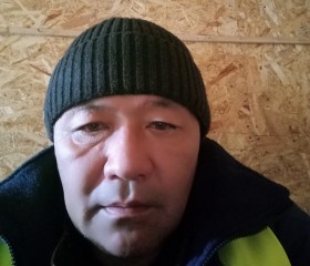 Emil Tursunaliev, 49 лет, Санкт-Петербург