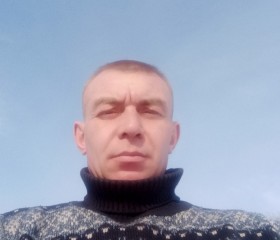 Сергей, 43 года, Верхняя Пышма