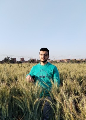 محمود, 21, Egypt, Cairo