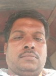 Suresh, 41 год, Solapur