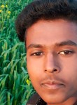 Dushyant, 22 года, Chandausi