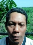 Taufik, 46 лет, Kota Mojokerto