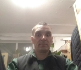 Иван Гришко, 43 года, Уссурийск
