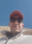 Fox, 43, Cairo