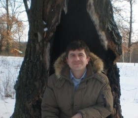 Дмитрий, 51 год, Железногорск (Курская обл.)