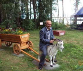 валерий, 64 года, Новосибирск