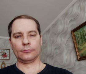 Геннадий, 53 года, Вологда