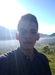 Jose luiis, 22 года, Ibagué