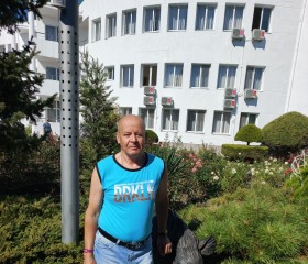 Petr, 66, Vyazma