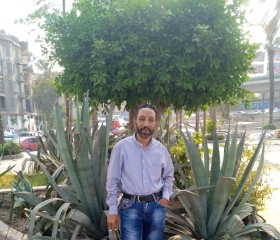 حسام, 50, Cairo