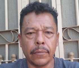 Berto estrada, 48 лет, Ciudad Apodaca