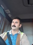 Asi Icnike, 30 лет, Adana