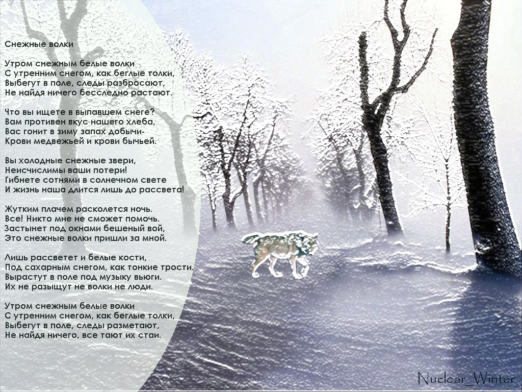 Текст волк и собака. Снежные стихи. Стих про волка. Стих про зиму про Волков. Собака и снег стихи.