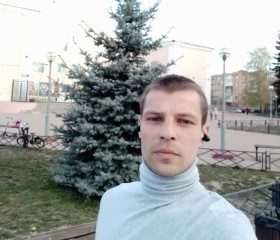 Белицкий, 33 года, Куровское