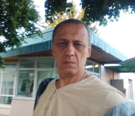 Александр, 52 года, Лотошино