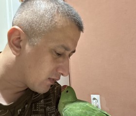 Rrororo, 78, Sevastopol