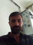 Serdar, 36 лет, Ankara