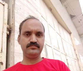 Chhatrapal singh, 43 года, Delhi