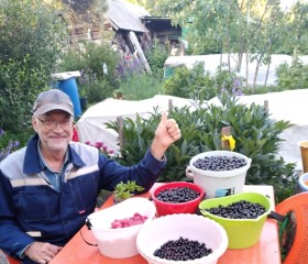 Петр, 70 лет, Рязань